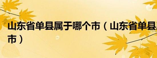 山东省单县属于哪个市（山东省单县属于哪个市）