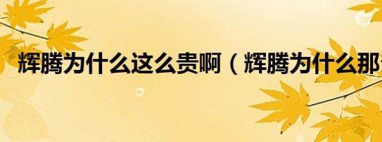 辉腾为什么这么贵啊（辉腾为什么那么贵）