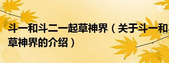 斗一和斗二一起草神界（关于斗一和斗二一起草神界的介绍）