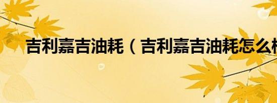 吉利嘉吉油耗（吉利嘉吉油耗怎么样?）