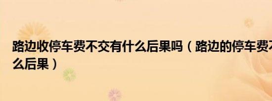 路边收停车费不交有什么后果吗（路边的停车费不交会有什么后果）