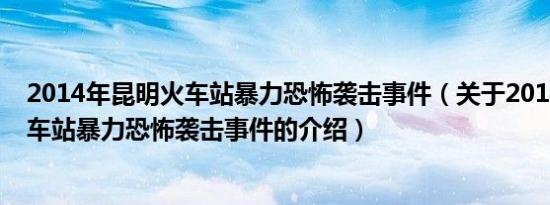 2014年昆明火车站暴力恐怖袭击事件（关于2014年昆明火车站暴力恐怖袭击事件的介绍）