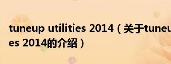 tuneup utilities 2014（关于tuneup utilities 2014的介绍）