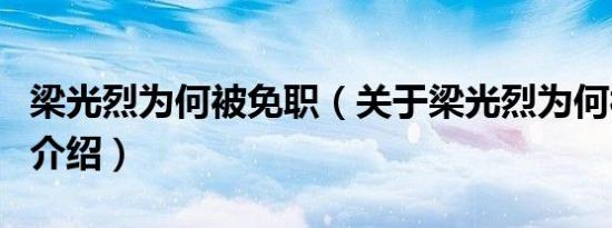 梁光烈为何被免职（关于梁光烈为何被免职的介绍）