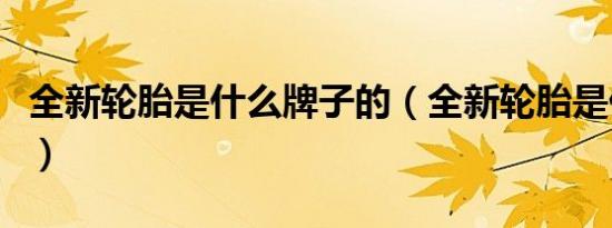 全新轮胎是什么牌子的（全新轮胎是什么牌子）