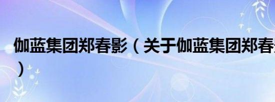 伽蓝集团郑春影（关于伽蓝集团郑春影的介绍）