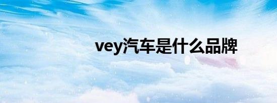 vey汽车是什么品牌