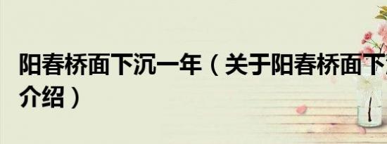 阳春桥面下沉一年（关于阳春桥面下沉一年的介绍）