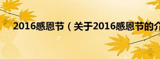 2016感恩节（关于2016感恩节的介绍）