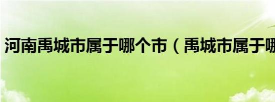 河南禹城市属于哪个市（禹城市属于哪个市）