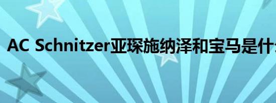AC Schnitzer亚琛施纳泽和宝马是什么关系
