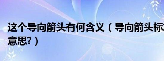 这个导向箭头有何含义（导向箭头标志是什么意思?）
