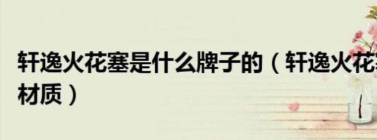 轩逸火花塞是什么牌子的（轩逸火花塞是什么材质）