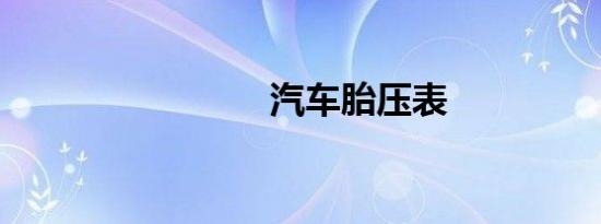 汽车胎压表
