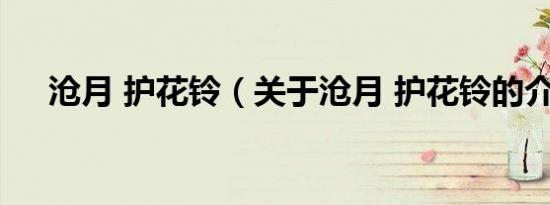 沧月 护花铃（关于沧月 护花铃的介绍）