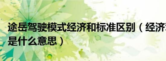 途岳驾驶模式经济和标准区别（经济驾驶模式是什么意思）