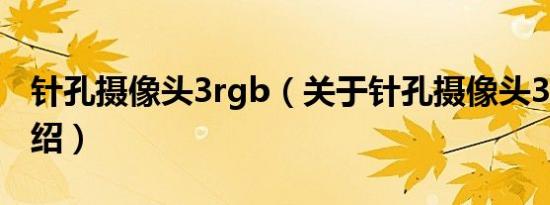 针孔摄像头3rgb（关于针孔摄像头3rgb的介绍）