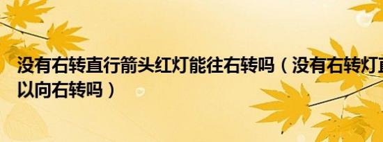 没有右转直行箭头红灯能往右转吗（没有右转灯直行红灯可以向右转吗）