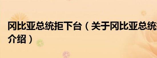 冈比亚总统拒下台（关于冈比亚总统拒下台的介绍）