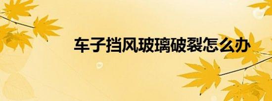 车子挡风玻璃破裂怎么办