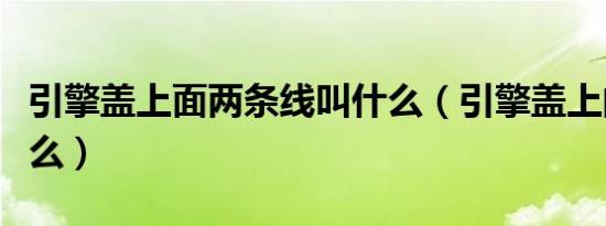 引擎盖上面两条线叫什么（引擎盖上的线叫什么）