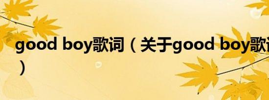 good boy歌词（关于good boy歌词的介绍）