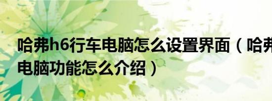 哈弗h6行车电脑怎么设置界面（哈弗h6行车电脑功能怎么介绍）
