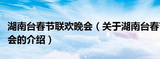 湖南台春节联欢晚会（关于湖南台春节联欢晚会的介绍）