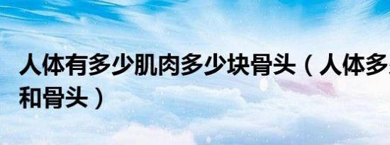 人体有多少肌肉多少块骨头（人体多少块肌肉和骨头）