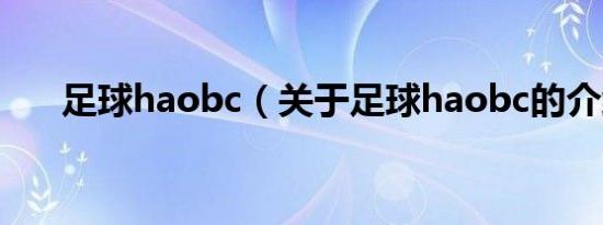 足球haobc（关于足球haobc的介绍）