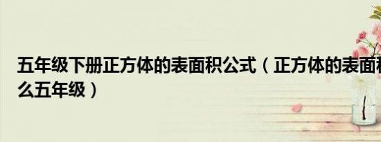 五年级下册正方体的表面积公式（正方体的表面积公式是什么五年级）