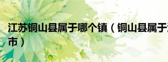 江苏铜山县属于哪个镇（铜山县属于江苏哪个市）