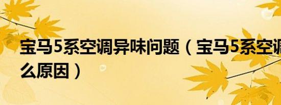宝马5系空调异味问题（宝马5系空调臭味什么原因）