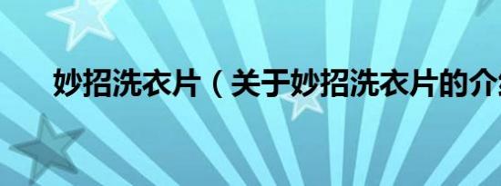 妙招洗衣片（关于妙招洗衣片的介绍）