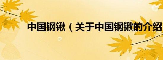 中国钢锹（关于中国钢锹的介绍）