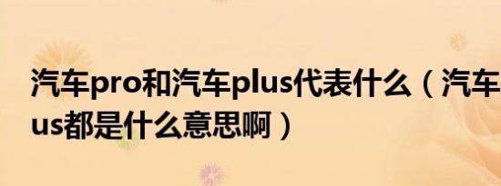 汽车pro和汽车plus代表什么（汽车pro与plus都是什么意思啊）