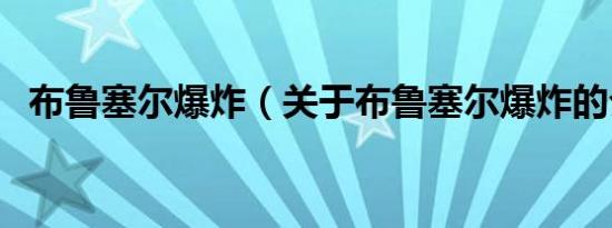 布鲁塞尔爆炸（关于布鲁塞尔爆炸的介绍）