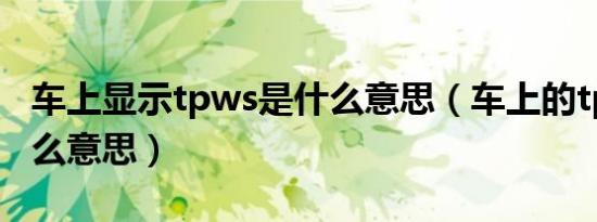 车上显示tpws是什么意思（车上的tpws是什么意思）