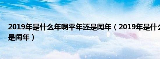 2019年是什么年啊平年还是闰年（2019年是什么年平年还是闰年）