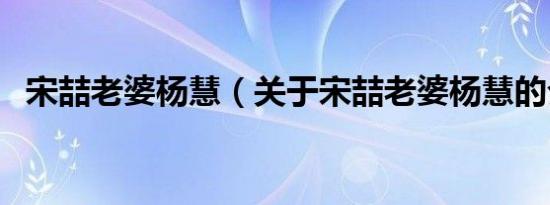 宋喆老婆杨慧（关于宋喆老婆杨慧的介绍）