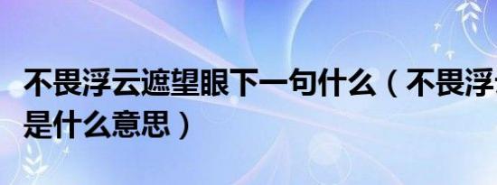 不畏浮云遮望眼下一句什么（不畏浮云遮望眼是什么意思）