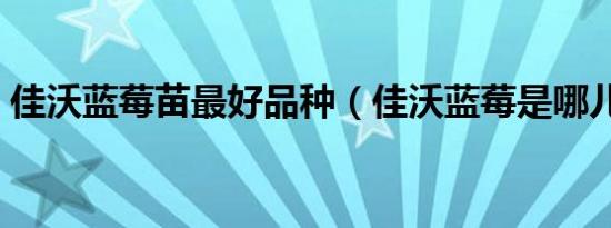 佳沃蓝莓苗最好品种（佳沃蓝莓是哪儿产的）
