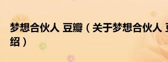 梦想合伙人 豆瓣（关于梦想合伙人 豆瓣的介绍）