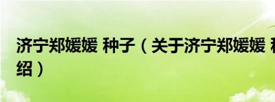 济宁郑媛媛 种子（关于济宁郑媛媛 种子的介绍）