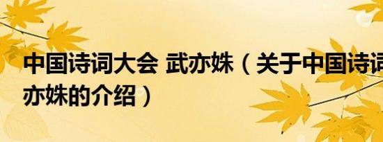 中国诗词大会 武亦姝（关于中国诗词大会 武亦姝的介绍）