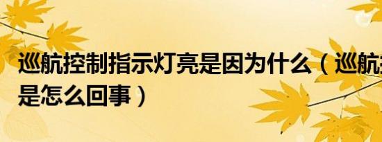 巡航控制指示灯亮是因为什么（巡航控制灯亮是怎么回事）
