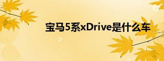 宝马5系xDrive是什么车