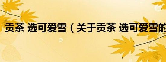 贡茶 选可爱雪（关于贡茶 选可爱雪的介绍）