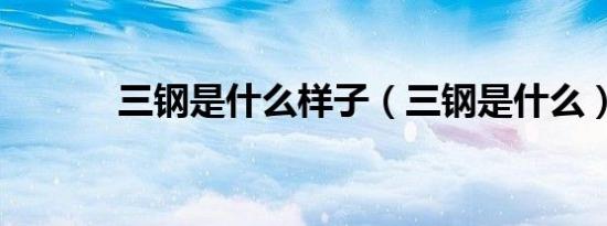 三钢是什么样子（三钢是什么）