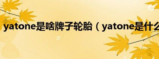 yatone是啥牌子轮胎（yatone是什么轮胎）